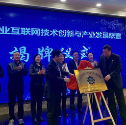 北京工業(yè)互聯(lián)網(wǎng)技術(shù)創(chuàng)新與產(chǎn)業(yè)發(fā)展聯(lián)盟成立，賦能企業(yè)網(wǎng)絡(luò)技術(shù)服務(wù)新生態(tài)